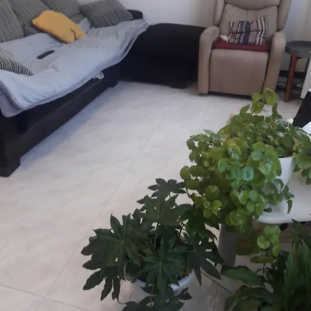 Homestay En Piso De Particular